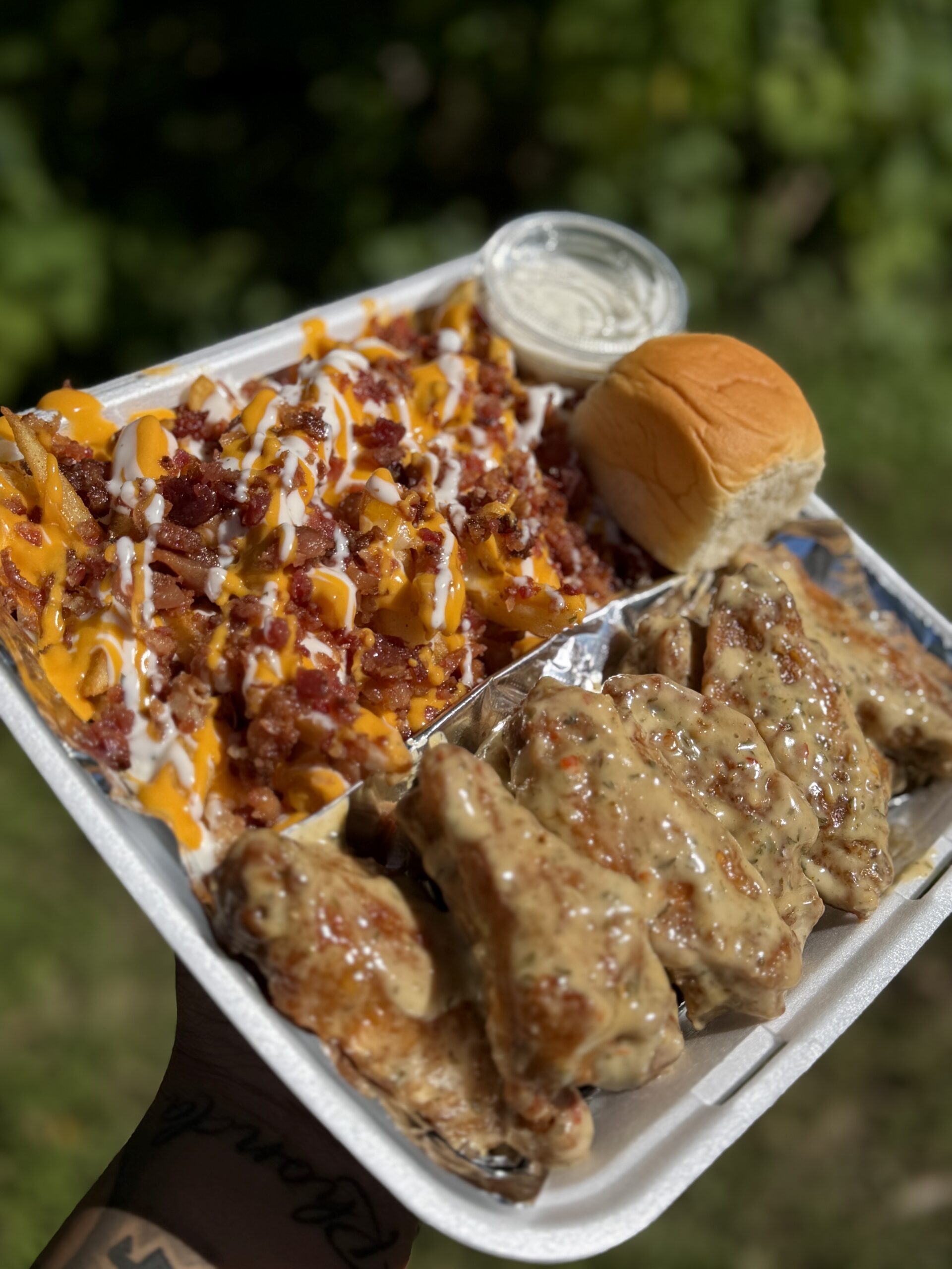 Chicken (6 Wing Pcs.) & Fries